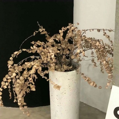 灵丘FurryQQ群介绍